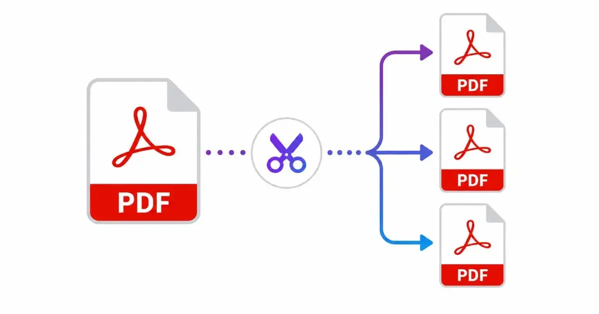 Split PDF illustration showing one PDF document being divided into several separate PDF files